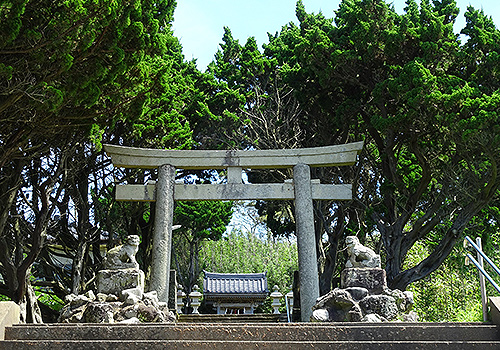 大杉神社